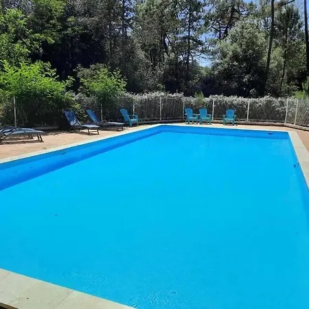 Daire T3 * * * + Piscine *